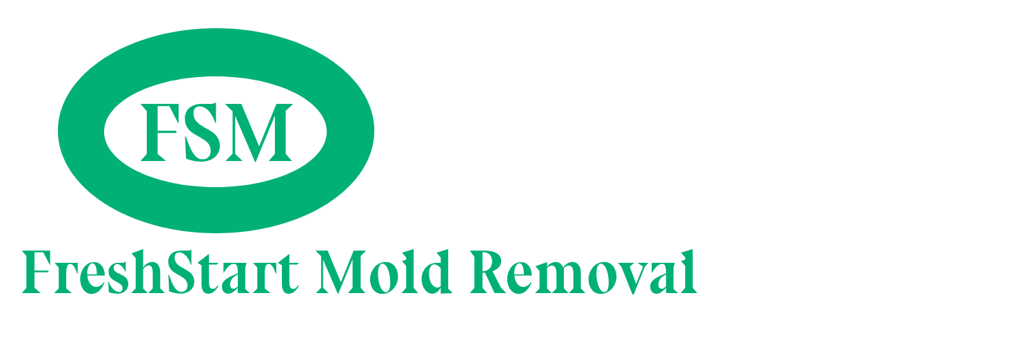 Mold Removal